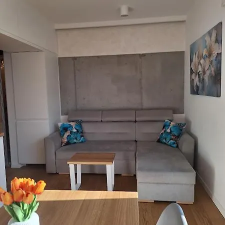 Widokowa 13-stka Z Widokiem Na Stadion Slaski I Park Slaski, 13 Pietro, Parking Podziemny Free * Katowice